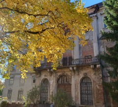 Foto Schloss Thürnthal